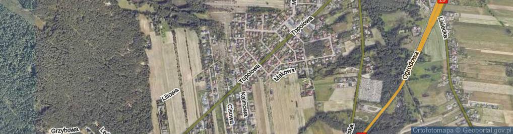 Zdjęcie satelitarne Topolowa ul.